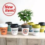 コーヒーの木×チルドカップ型陶器鉢...