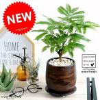 エバーフレッシュ ウッド風 ペイント陶器鉢 Sサイズ 鉢植え 鉢 苗 苗木 観葉植物 送料無料 丸鉢 鉢植え 陶器 木目 茶 ブラウン オレンジ おしゃれ かわいい イ