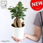 商品画像3