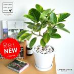 アルテシーマ白色中型ラウンド陶器鉢...