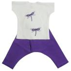【未熟児】【低出生体重児】【早産児】【NICU】用 ベビー服:半袖上下セット ドラゴンフライ