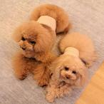 贅沢なカシミヤ100％ わんちゃん腹巻リブ編み 無染色ベージュ