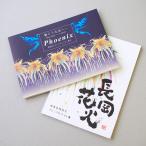 【２冊セット】 越後長岡花火プレミアムフ
