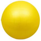 キッズカラーボール ボール 玩具 おもちゃ 遊具 外遊び ボール遊び 運動 子供用 誕生日プレゼント 子供 おもちゃ スポーツ玩具