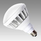 テスライティング LDR15W110/830/E26-Hs �