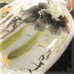  нос дым кувшин "hu" нос дым .39..szme изнутри рука .. изделие прикладного искусства нос дым . внутри . стеклянная бутылка 