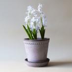 Bergs Potter цветочный горшок Helena серый φ18cm поддонник имеется неглазурованный фарфор . Северная Европа Дания 