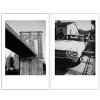 FUJIFILM камера мгновенной печати Cheki для плёнка 10 листов входит монохромный -mINSTAX MINI MONOCHROME WW 1