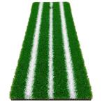  Golf коврик обивка изменение газонная трава только Golf тренировка коврик cusomize перевозка резина коврик элемент ... дорога проверка Driver железный swing тренировка для 17×45cm ( одиночный товар /