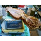  очень большой king-size! Hokkaido обработка сушеный кальмар 10 листов (1.3g~1.4kg)