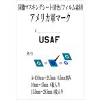 AA01 [ America армия ] на данный момент для America армия знак "USAF"