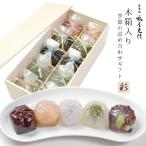 京都 鶴屋光信 母の日 和菓子 ギフト お試し　春夏5種詰合せ 10個入 木箱【恋桜・せせらぎ・葛まんじゅう（抹茶)、（小豆）・塩水ようかん】各2個