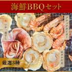 海鮮BBQセット |ホタテ片貝10枚・有頭ブラックタイガー10尾・スルメイカ一夜干し1枚|冷凍・送料無料