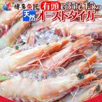 [ бесплатная доставка ] первоклассный натуральный иметь голова креветка Австралия производство Tiger 1.5kg( примерно 35 хвост )l рефрижератор * для бизнеса *.. похоже *BBQ.!