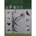 画草虫百態 十招画室 / 十招画室:画草虫百&#24577;
