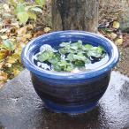 13 номер namako тысяч уровень горшок с водой Shigaraki . круглый аквариум,me Dakar горшок . рекомендация [su-0133]