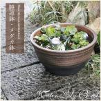 14 номер обжиг в печи . тысяч уровень горшок с водой Shigaraki . круглый аквариум,me Dakar горшок . рекомендация [su-0014]