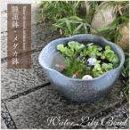  рука ... деформация горшок с водой Shigaraki . круглый аквариум,me Dakar горшок . рекомендация [su-0088]