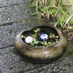 13 номер обжиг в печи . горшок с водой Shigaraki . круглый аквариум,me Dakar горшок . рекомендация керамика оризия горшок водяная лилия горшок [su-0237]