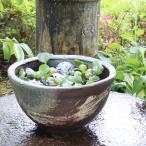 10 номер синий кисть глаз горшок с водой Shigaraki . круглый аквариум,me Dakar горшок . рекомендация [su-0159]