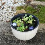 . линия белый горшок с водой Shigaraki . круглый аквариум,me Dakar горшок . рекомендация керамика водяная лилия горшок рука горшок с водой оризия горшок [su-0249]