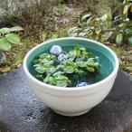 13 номер белый rental mi горшок с водой Shigaraki . круглый аквариум,me Dakar горшок . рекомендация керамика водяная лилия горшок рука горшок с водой оризия горшок [su-0253]