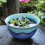  синий ga последний Chile горшок с водой Shigaraki . круглый аквариум,me Dakar горшок . рекомендация керамика оризия горшок водяная лилия горшок [su-0268]
