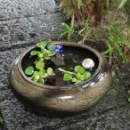  бусина ro горшок с водой Shigaraki . круглый аквариум,me Dakar горшок . рекомендация керамика оризия горшок водяная лилия горшок [su-0273]