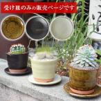  Shigaraki . цветок pot ( маленький ) для поддонник sa-0328s