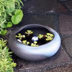 15 номер синий обжиг в печи менять горшок с водой Shigaraki . круглый аквариум,me Dakar горшок . рекомендация керамика горшок рука горшок с водой [su-0181]