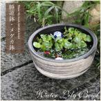 信楽焼12号白はけ目水鉢で和風空間を楽しむ