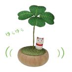 yu... clover кошка 