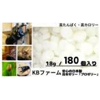 昆虫ゼリー プロゼリー 18g クワガタゼリー KBファーム (18gワイド 180個)