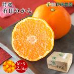 みかん 2.5kg 中玉 大玉 Sサイズ〜Mサイズ ミックス 有田みかん 贈答用 ミカン 果物 フルーツ 温州みかん