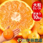 みかん 訳あり 10kg 送料無料 和歌山 自宅用 大玉 2Lサイズ〜3Lサイズ 混合 箱買い ご当地 お取り寄せ 粗選別