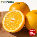 八朔 はっさく 訳あり 10kg 和歌山みかん ハッサク 旬 みかん 自宅用 送料無料 箱買い 防腐剤 不使用 北海道 沖縄 送料 770円