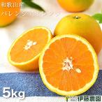  подарок на Bon Festival фрукты барен sia orange 5kg Wakayama мандарин прекрасный товар .. для . мандарин orange бесплатная доставка коробка покупка подарок 