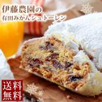 伊藤農園 クリスマスケーキ シュトーレン 送料無料 みかん クリスマス 限定 送料込 ドイツ 伝統 洋菓子