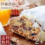 母の日ギフト 2024 クリスマスケーキ シュトーレン 2本 送料無料 みかん クリスマス 限定 送料込 ドイツ 伝統 洋菓子