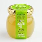 伊藤農園 ゼリー お試し ポイント利用 フルーツゼリー 瓶詰め ビン入り 単品 うめ スイーツ ゼリー お試し