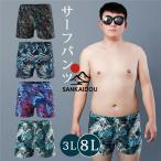  вода суша обе для шорты для серфинга мужской купальный костюм море хлеб градация шорты шорты 4 минут длина брюки плавание одежда большой размер скорость . купальный костюм море Panther fpa