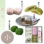  один период один .( маленький ).. дерево Sakura *.. дерево . насыщенный коричневый * Hikone .* дзельква ... ... японские сладости подарок * подарок * праздник * подарок *. видеть Mai *..