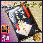 令和5年 新潟県産 こし