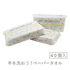 ペーパータオル 中判 120組 手を洗おう！ペーパータオル ソフト 40袋 無漂白 まとめ 箱 50120001 ギフト 熨斗対応