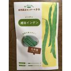 越谷いんげん（いんげん豆）の種（小袋15粒）春夏蒔き（自然栽培の種）在来種
