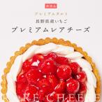 長野県産いちごレアチーズタルト フルーツタルト グルテンフリー スイーツ 冷凍 ギフト 誕生日 ホールケーキ 直径15cm 5号 タルト