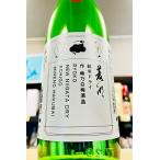 菱湖ドライ-NEWNIIGATAD...
