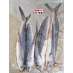  рыбалка корм рефрижератор летящий uo2 листов внизу .. желтохвост треска тунец isinagi