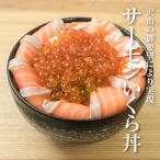 【大人気】サーモンいくら丼 北海道産の大粒いくら(40g)とノルウェー産のサーモン(140g)を贅沢に使ったどんぶり