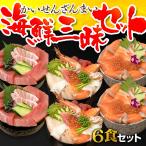 海鮮三昧セット(8種の海鮮丼・クロマグロ丼・サーモン丼)お中元にも最適な人気の3種類 合計6食セット!